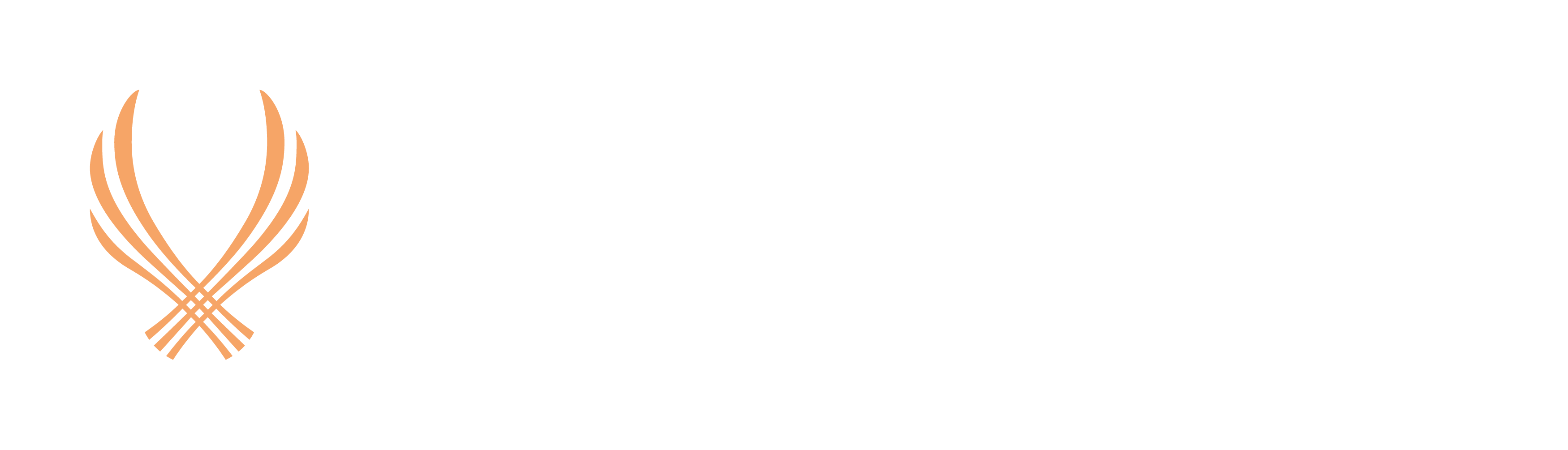 SDU UNIVERSITY